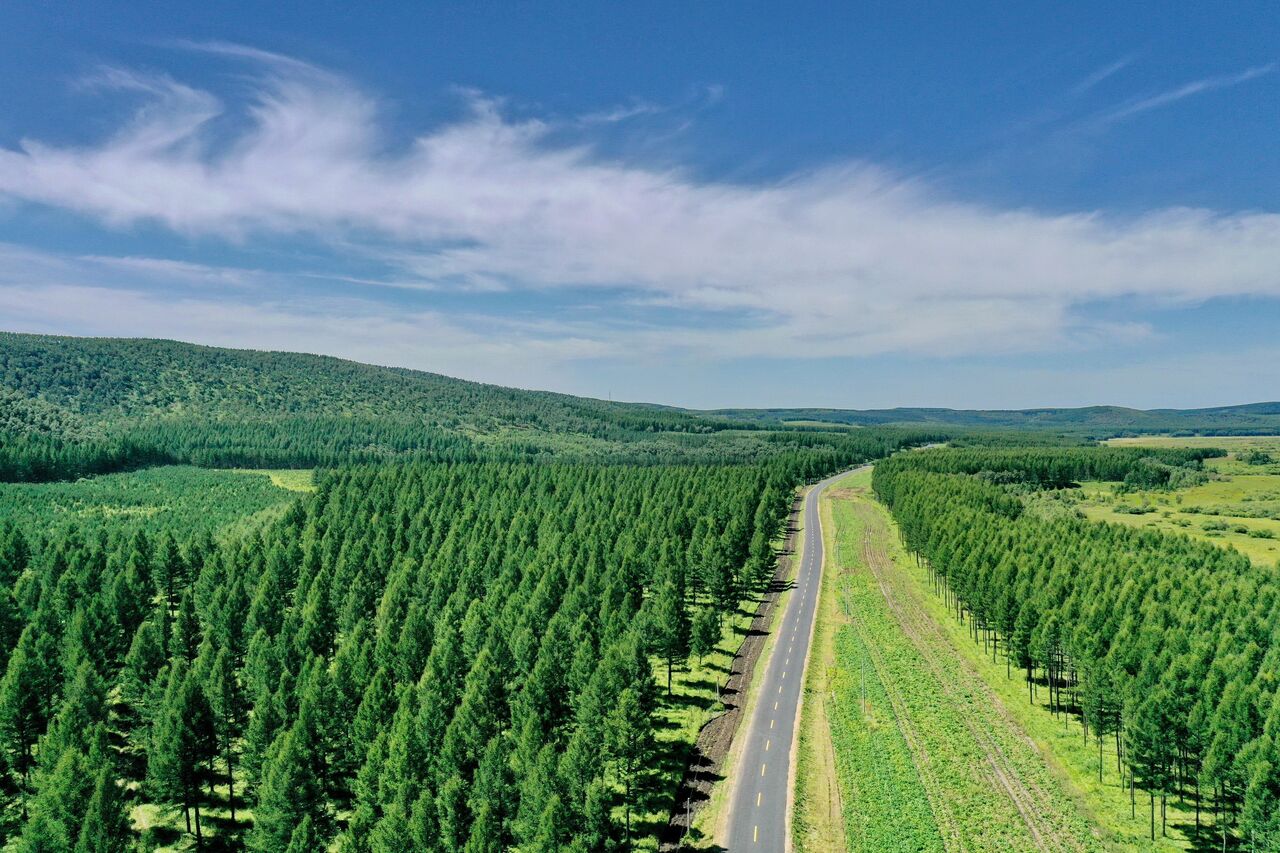 China Leads the World in Man-Made Forest and Grassland Area