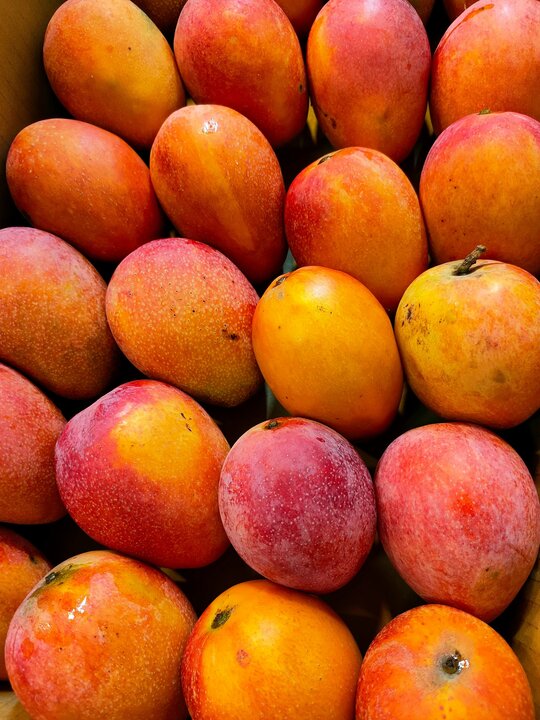 China-ASEAN Fruit Trade Flourishes Through Nanning Distribution Center