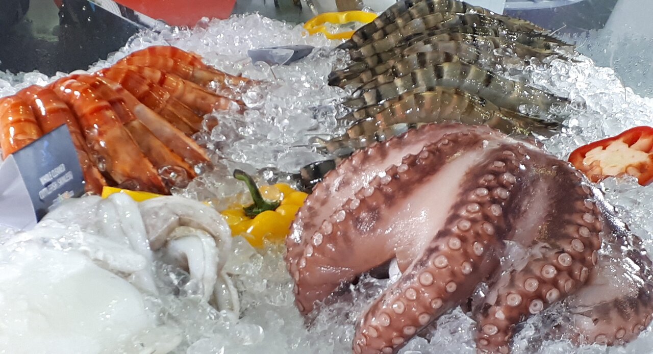 Vietnam’s Squid and Octopus Export Boom