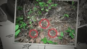 Thailand Accuses Cambodia of Planting Landmines, Vows to File UN Protest