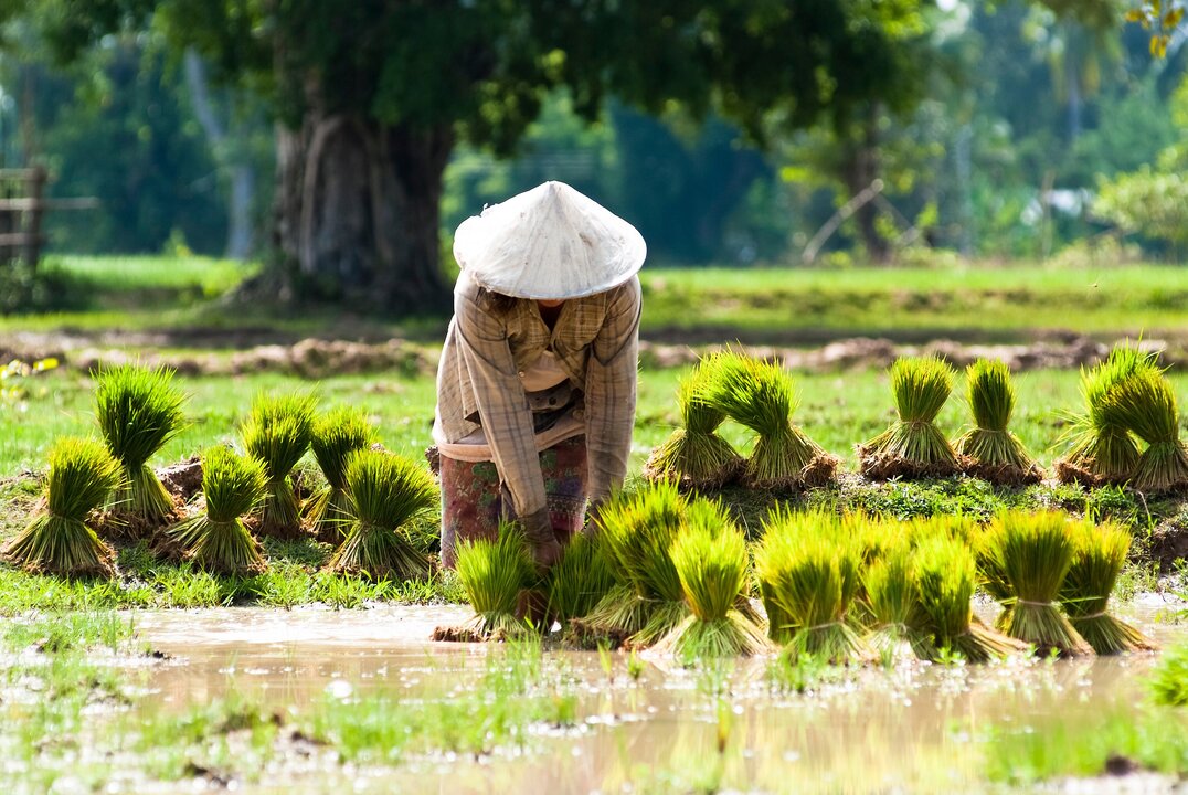 Laos Pursues Self-Reliant Economic Strategy