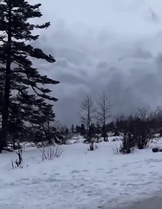Tourists in Tibet filming avalanche are caught off guard by speed