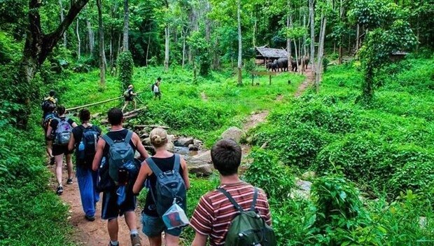Vietnam Loosens Forest Protections Amid Tourism Development