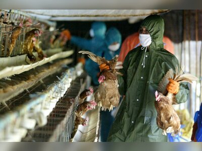Cambodia Confirms 15th Human H5N1 Infection This Year
