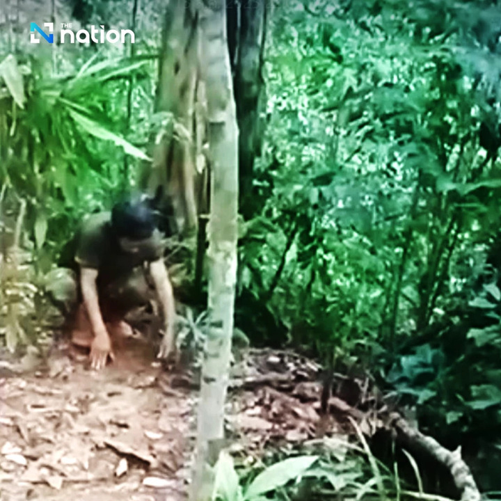 Thai Army Responds to Cambodia’s Demands on Landmine Use