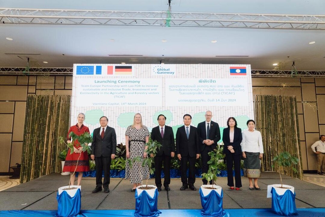 Germany Backs Sustainable Forest Management in Laos