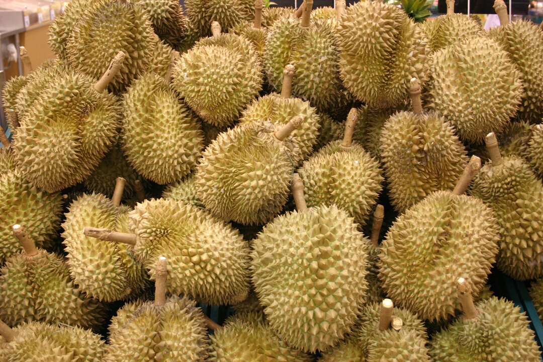 China-Laos Railway Transports 150,000 Tons of Durian