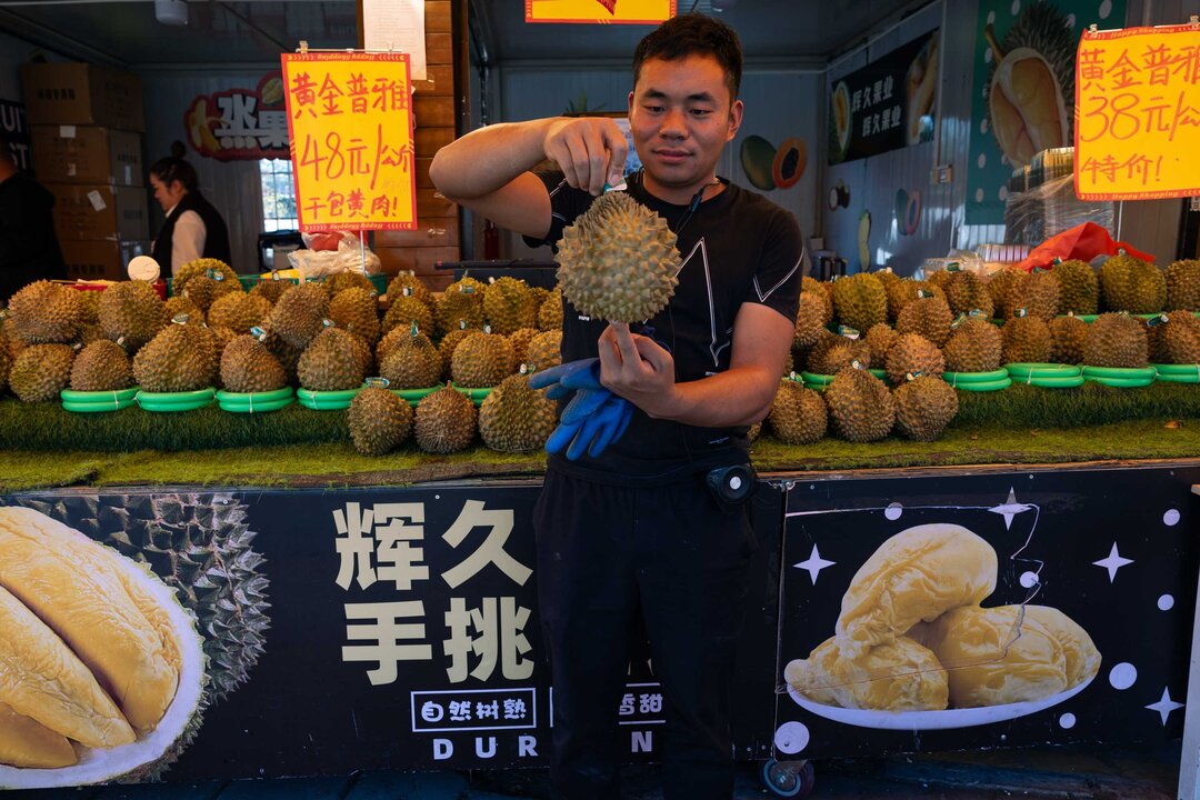 Laos’ Banana and Durian Industry Faces Scrutiny Over Hidden Costs