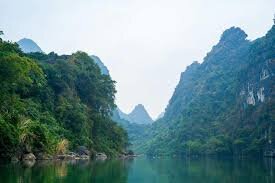 New Nocturnal Species Discovered in Vietnam