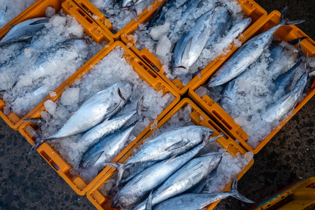 Vietnam Urges U.S. to Lift Seafood Export Ban