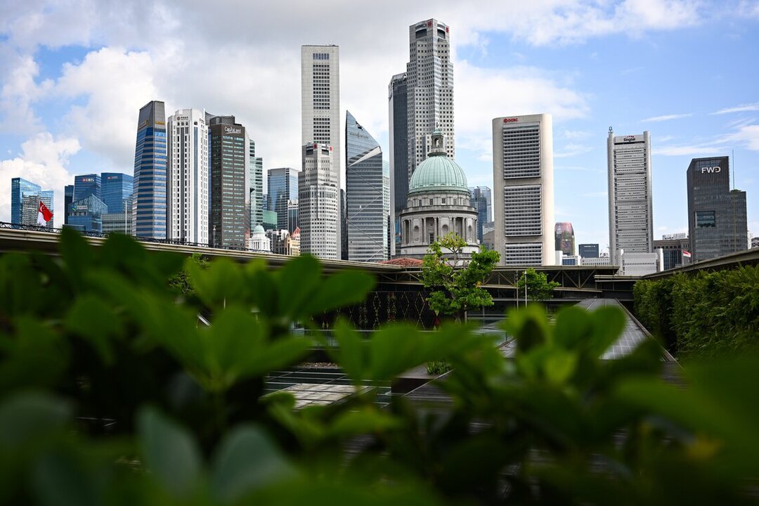 Vietnam and Singapore Sign Carbon Credit Agreement