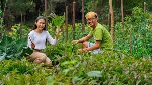 TUI Launches Green Financing Initiative for Laos Tourism