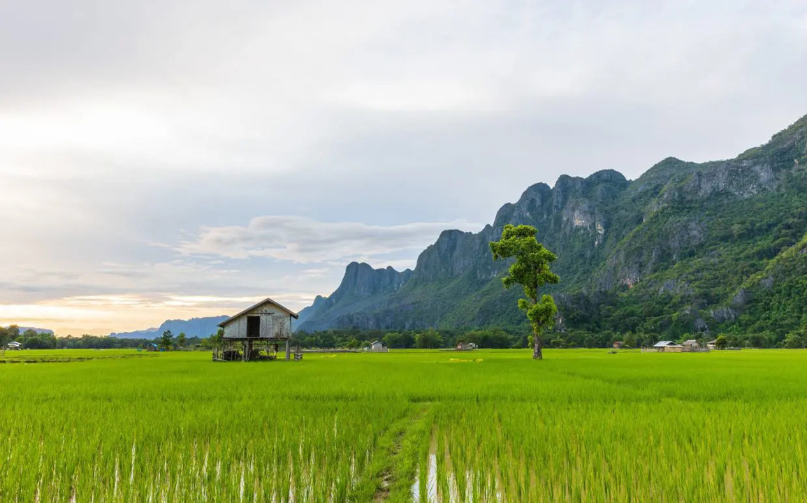 Laos Seeks Investment in Carbon Markets and Clean Energy