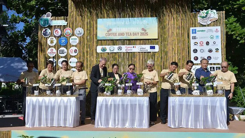 Lao Coffee and Tea Gain Prominence on the Global Stage
