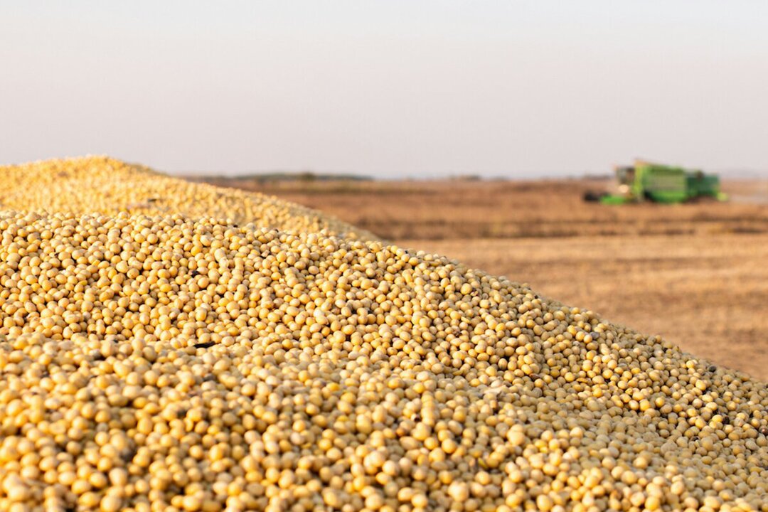 Vietnam Could Play Key Role in Easing U.S.–China Trade Tensions Over Soybeans