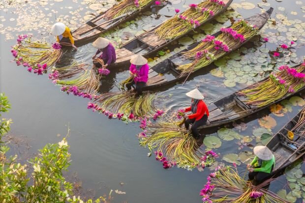 Vietnam Expands Work Rights for Foreign Students in Major Policy Shift