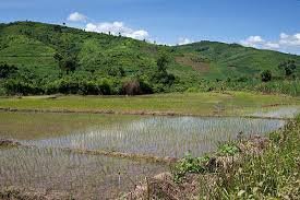 Luang Namtha Records Nine Percent Surge in Tourist Arrivals