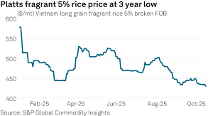 Vietnam’s Fragrant Rice Prices Drop to Three-Year Low
