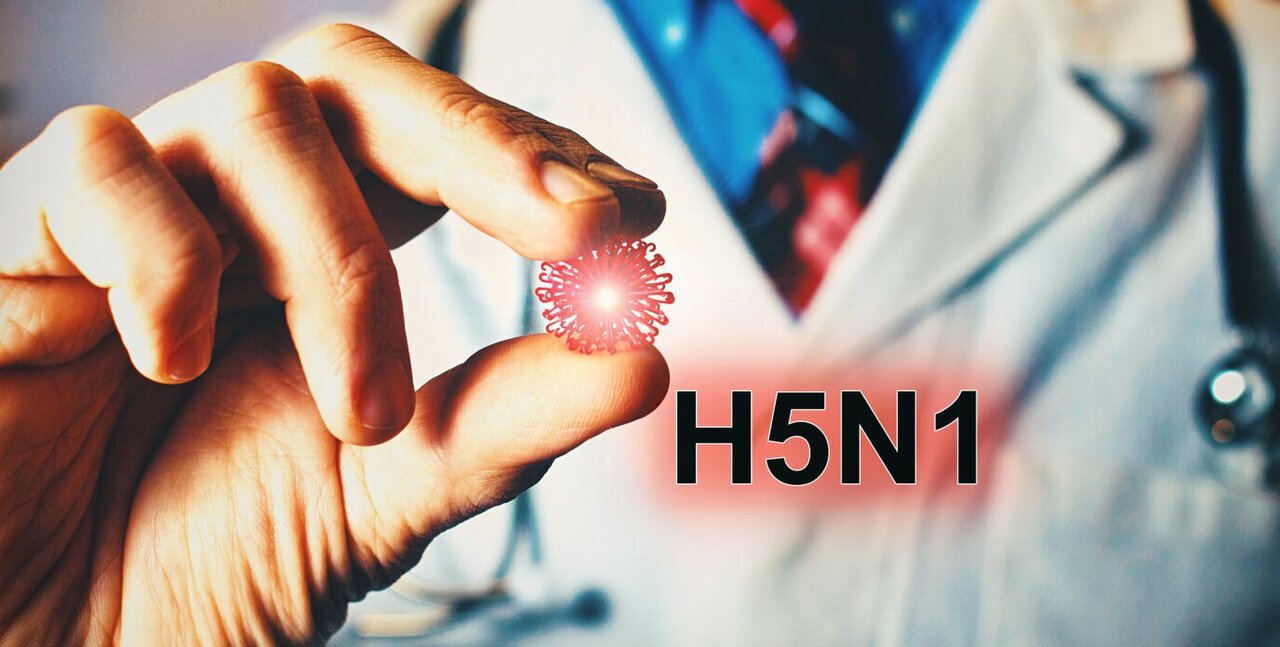 Health Officials Report New H5N1 and Polio Cases in Global Health Alert