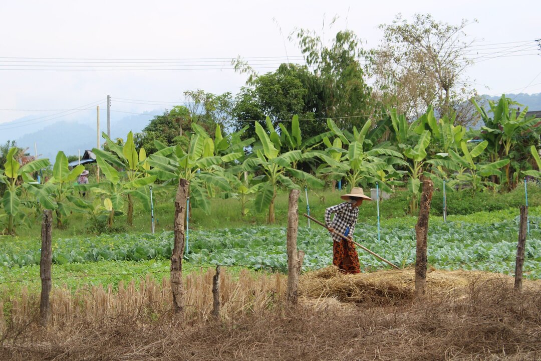 Laos Publishes First-Ever Tax Expenditure Report to Guide Policy Reform