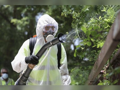 Hong Kong’s Fourth Local Chikungunya Case May Point to New Transmission Source