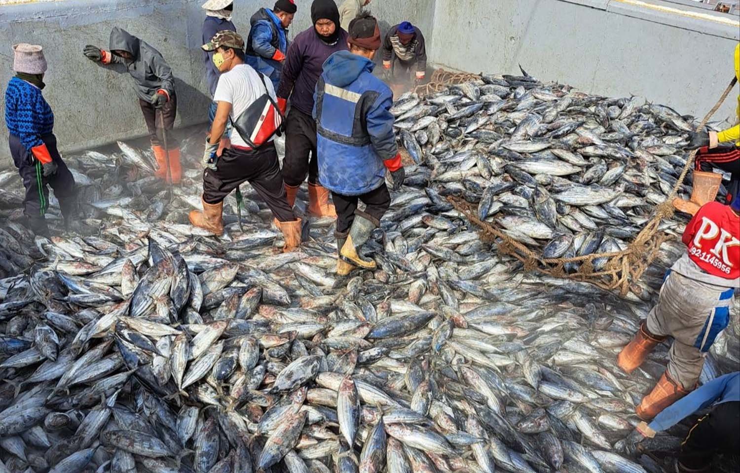 Thai Tuna Industry Urges Rapid Completion of EU-Thailand Free-Trade Agreement