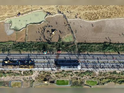 Seven Elephants Killed by Train Collision in Northeast India