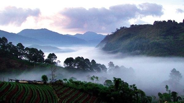 Cold Air Grips Northern Thailand as Heavy Rain and Rough Seas Hit the Lower South