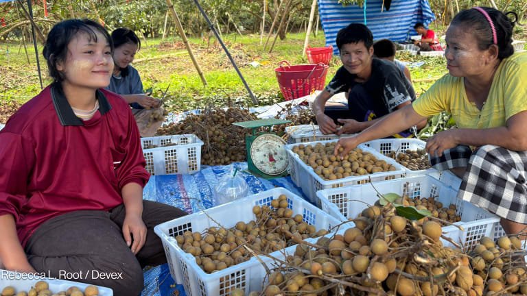 US Aid Cuts Transform Refugee Life in Thailand from Camp Dependence to Agricultural Work