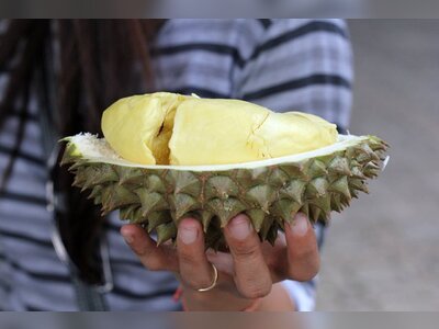 Thailand’s Ministry of Commerce and Department of Internal Trade expand durian quality-and-supply oversight to protect premium export positioning and price stability strategy