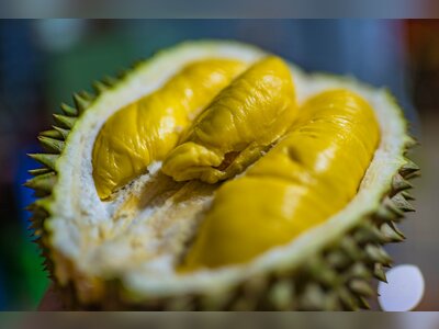 Thailand’s Ministry of Commerce and Department of Internal Trade expand durian quality-and-supply oversight to protect premium export positioning and price stability strategy