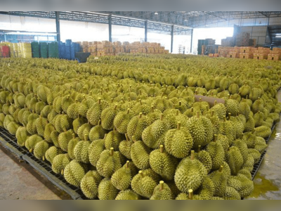 Thailand’s Ministry of Commerce and Department of Internal Trade expand durian quality-and-supply oversight to protect premium export positioning and price stability strategy