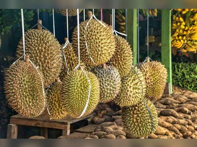 Thailand’s Ministry of Commerce and Department of Internal Trade expand durian quality-and-supply oversight to protect premium export positioning and price stability strategy