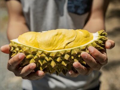 Thailand’s Ministry of Commerce and Department of Internal Trade expand durian quality-and-supply oversight to protect premium export positioning and price stability strategy
