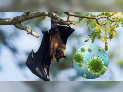 Thailand and Nepal Launch Virus Screening After Nipah Outbreak Confirmed in India