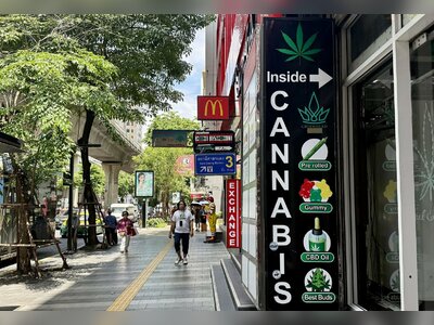 Thai Cannabis Policy Becomes Central Election Issue as Government Tightens Regulations