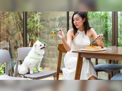 Hong Kong Moves to Transform Dining Scene with Pet-Friendly Restaurant Permits