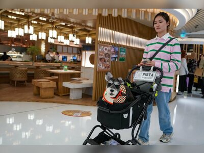 Hong Kong Moves to Transform Dining Scene with Pet-Friendly Restaurant Permits