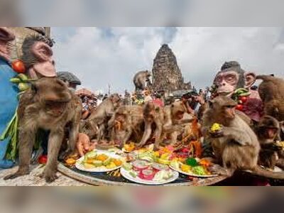Thailand’s Monkey Buffet Festival Draws Crowds in Celebration of Wildlife and Culture