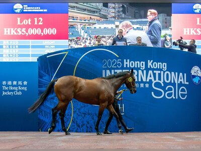 Quarantine Issues Force Rescheduling of Hong Kong International Sale
