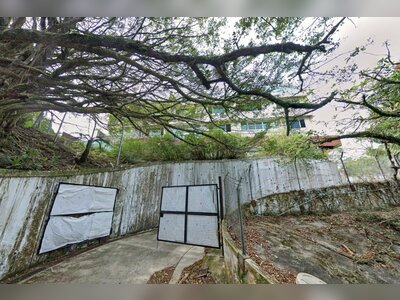 Hong Kong Businessman May Face Loss as Luxury Peak Road Properties Go to Tender