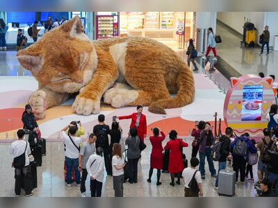 Cats Take Centre Stage in Hong Kong as Easter Celebrations Embrace Feline Trend