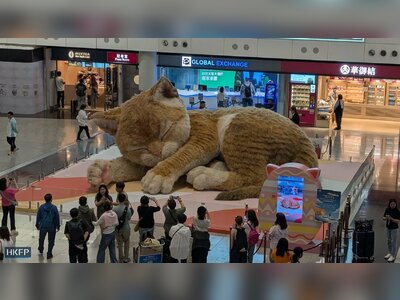 Giant Interactive Cat Installation Delights Travelers at Hong Kong International Airport