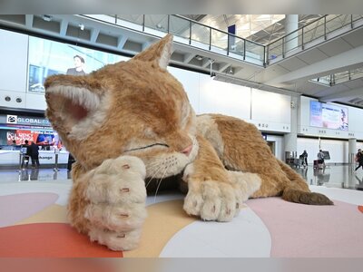 Giant Interactive Cat Installation Delights Travelers at Hong Kong International Airport