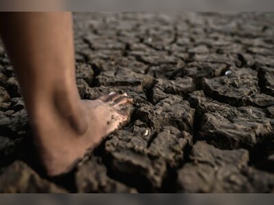 Thailand Issues Alert Over Rising ‘Soil Fever’ Cases as Health Authorities Intensify Response