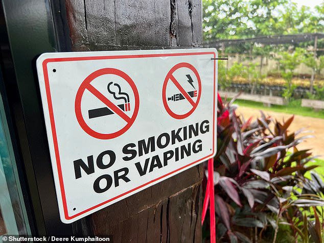 Thailand tightens enforcement on vaping with fines and arrests targeting tourists