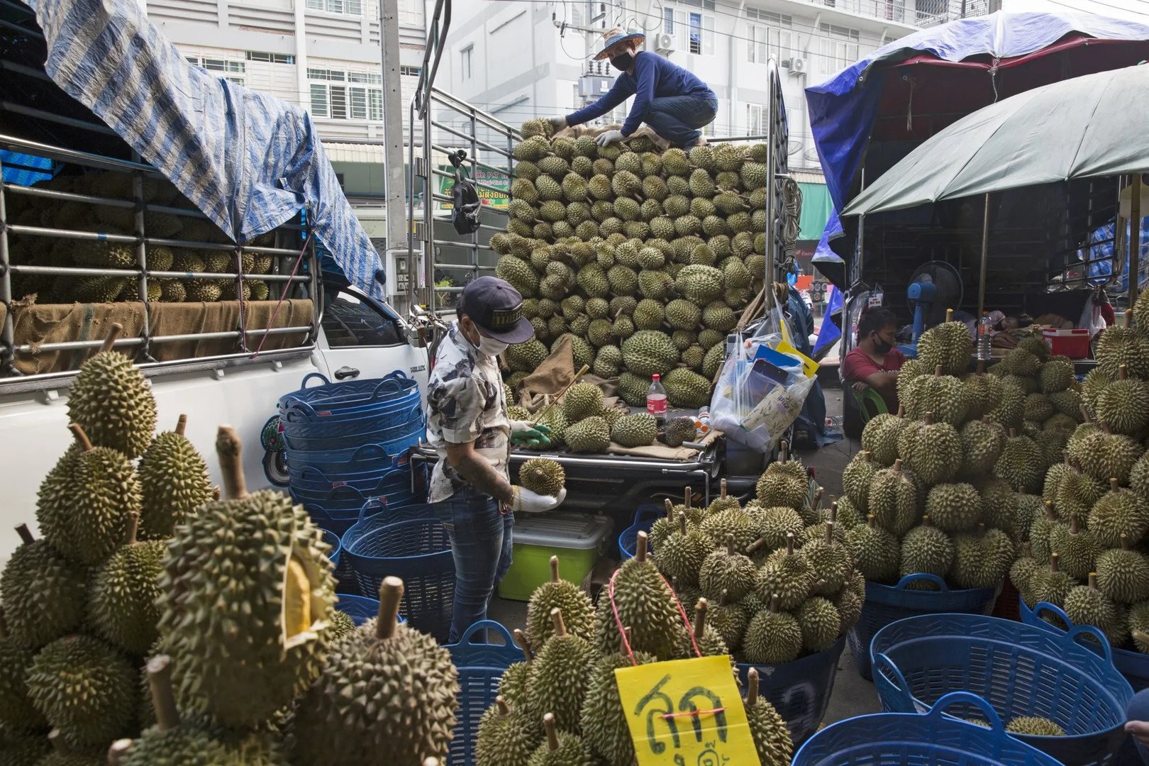 Durian Glut in Thailand Sparks Price Pressure as Influencers Push Global Demand