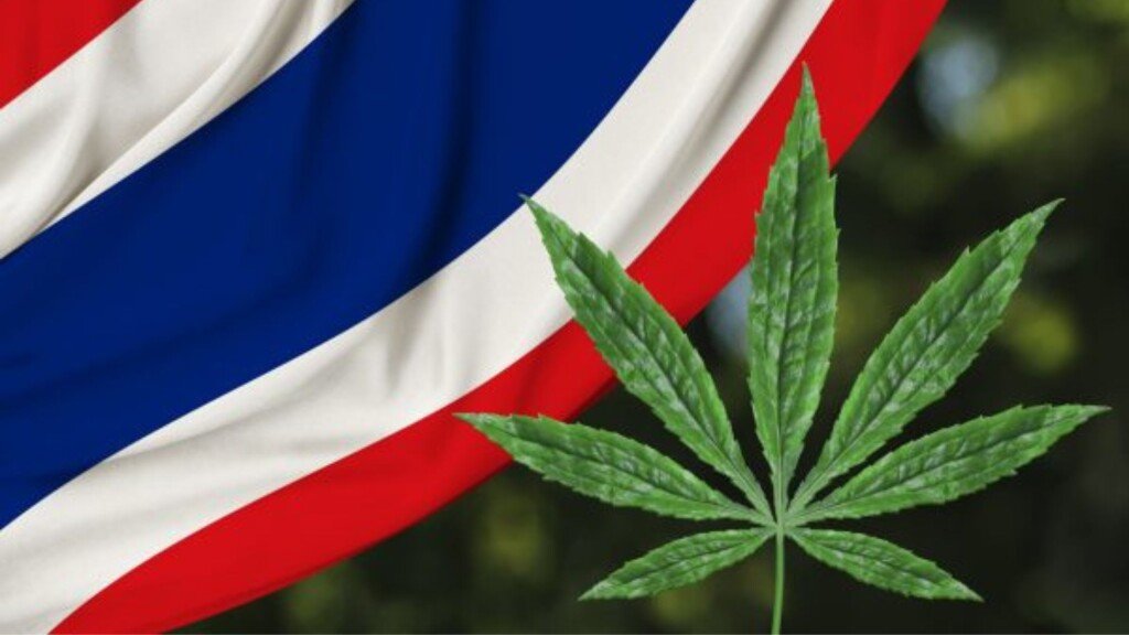 Thailand Tightens Cannabis-Hemp Extract Rules, Restricting Legal Use to Four Controlled Purposes