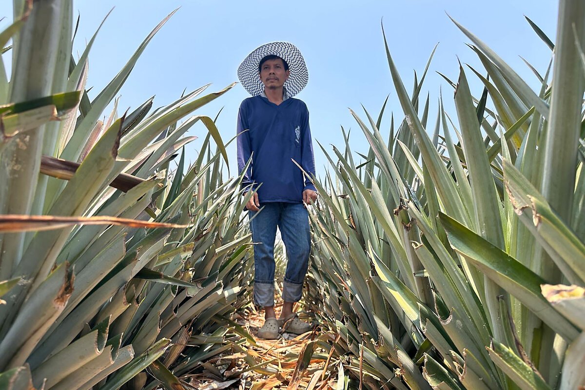 Iran Conflict Ripples Into Global Food System as Fertilizer and Fuel Costs Surge Across Asia