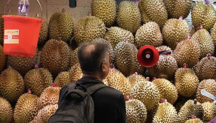 China’s New Southeast Asia Rail Corridor Reshapes the Durian Trade